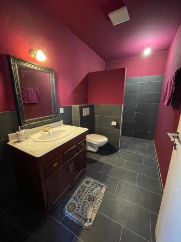 La salle de bains est pourvue d'un lavabo et de toilettes. dans l'établissement Le p’tit 37, à Moutier