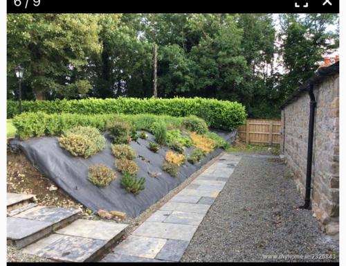 a garden with several plants on a black tarp at Glenwood house in Walterstown