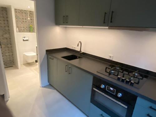 cocina con fregadero y encimera en B&B In de aap gelogeerd, en Apeldoorn