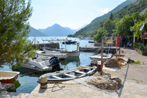 Φυσικό τοπίο κοντά σε αυτό το διαμέρισμα