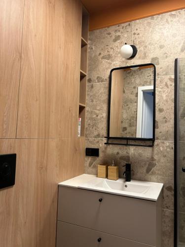La salle de bains est pourvue d'un lavabo et d'un miroir. dans l'établissement Stylowy Apartament Przy Kaszowniku, à Toruń