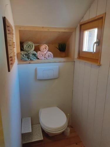 a small bathroom with a toilet and a window at La grange de la petite souris in Bouxwiller