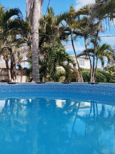 ein Pool mit Palmen im Hintergrund in der Unterkunft Hostal azul príncipe in Puerto Colombia