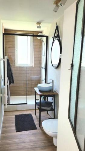 une salle de bain avec un lavabo, des toilettes et un miroir dans l'établissement Appartement au coeur du Village avec terrasse, à Wattwiller