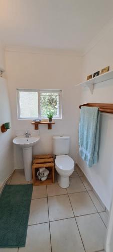 een badkamer met een toilet, een wastafel en een raam bij The Centre Circle in Hilton