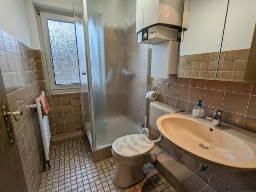a bathroom with a toilet and a sink and a shower at Haus Ekke Nekkepenn I, Whg 6 in Wyk auf Föhr