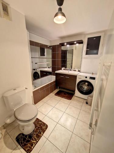 La salle de bains est pourvue de toilettes et d'un lave-linge. dans l'établissement Appartement ZEN, à Meyzieu