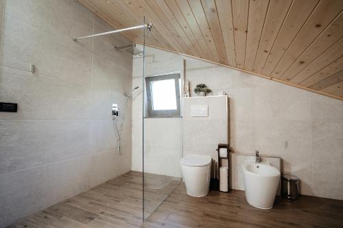 a bathroom with a toilet and a glass shower at Green Garden in Băile Borşa