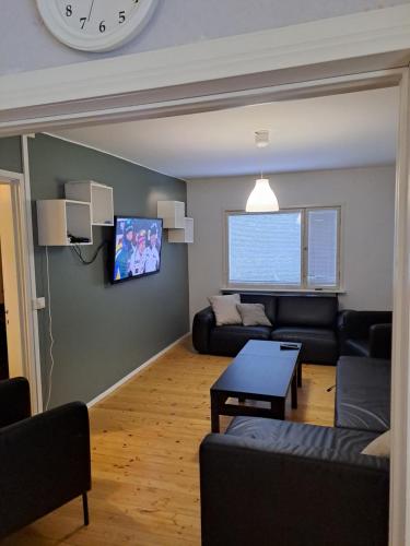 TV a/nebo společenská místnost v ubytování Mummola