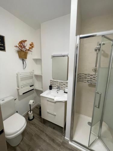a bathroom with a toilet and a sink and a shower at Studio du soleil in Saint-Omer