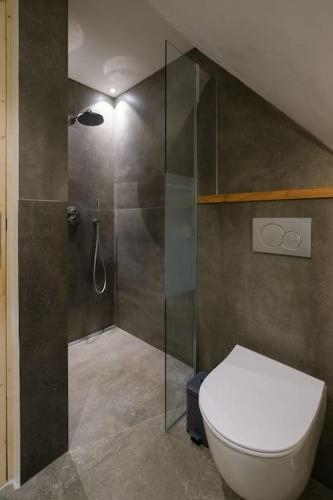 une salle de bain avec toilettes et douche dans l'établissement 300-year-old Farmhouse Chalet, à Servoz