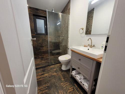 een badkamer met een toilet, een wastafel en een douche bij Chalet Amik in Buşteni
