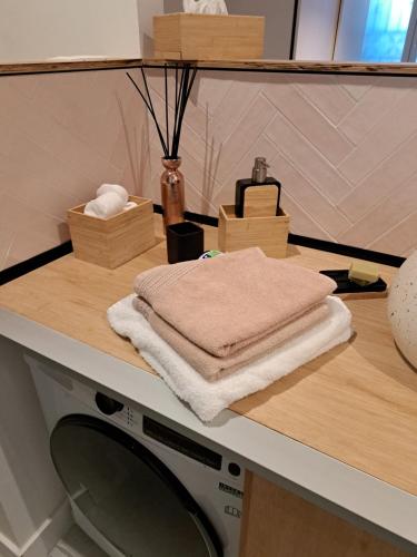 瑟蘭的住宿－Appartement Maison de Maître，洗衣机上堆着的毛巾