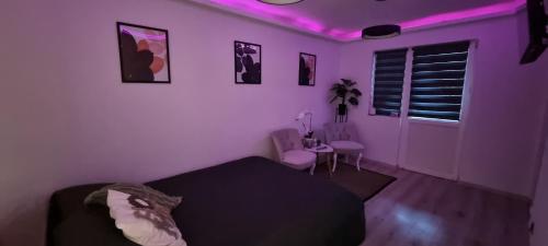 a room with a bed and a purple light at Radu's Room in Curtea de Argeş