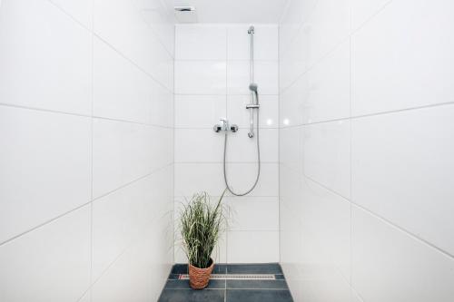 ein Badezimmer mit einer Dusche mit Topfpflanze in der Unterkunft Kurzzeitglück 24h Self Check-In E02 in Essen