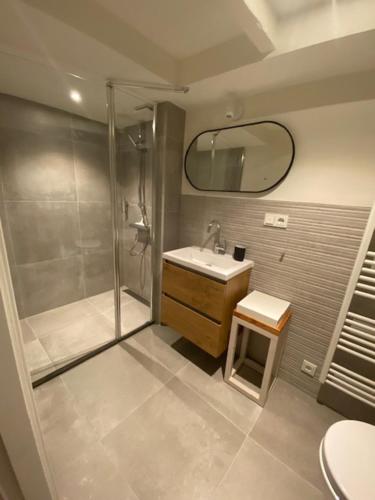 a bathroom with a shower and a sink and a mirror at BLRK 285 in Rotterdam