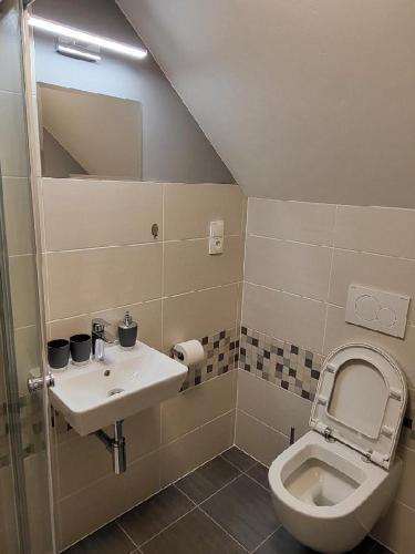 a bathroom with a toilet and a sink at HORSKÝ PENZION U SPLAVU in Josefuv dul