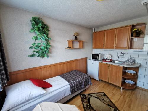 a small bedroom with a bed and a kitchen at Pokoje Gościnne ZYNGRA in Poronin