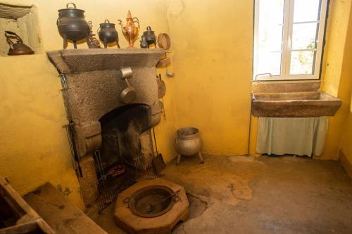 a bathroom with a toilet with a fireplace at Casa do Outeiro in Meda