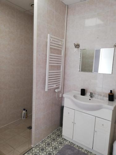 a bathroom with a sink and a mirror and a shower at Studio, petit déjeuner inclus, 20min Beauval in Faverolles-sur-Cher