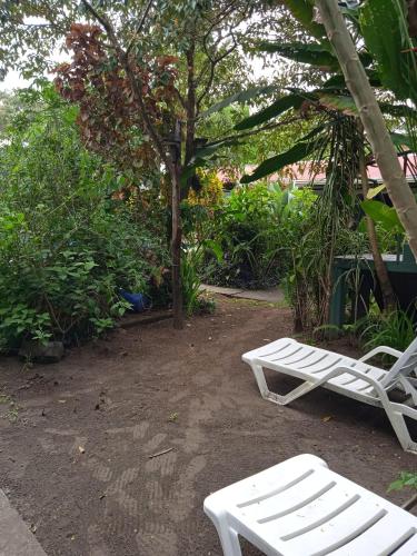 a white bench sitting next to a tree at La Casona Eco-Lodge Tortuguero in Tortuguero