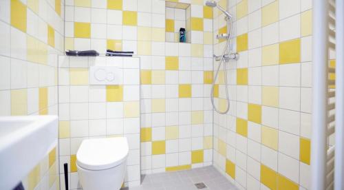 a bathroom with a shower with a toilet and a sink at Ferienwohnung Tannen-Apotheke Eins in Mengerskirchen
