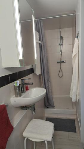 La salle de bains est pourvue d'un lavabo et d'une douche. dans l'établissement Studio maxi 3 pers, acces H24, proche gare pour Paris, à Sainte-Geneviève-des-Bois