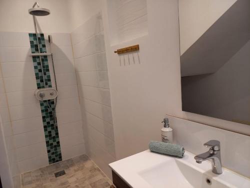 La salle de bains est pourvue d'un lavabo et d'une douche. dans l'établissement Le Tropical appartement 1 ou 2 chambres, à Les Anses-d'Arlet