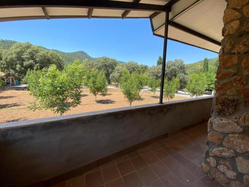 a view from the balcony of a house with trees at CASA NICOLAS in Molinicos