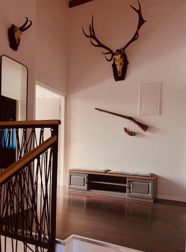a room with a bench and deer heads on the wall at House DIKA- sauna & jacuzzi in Otočac