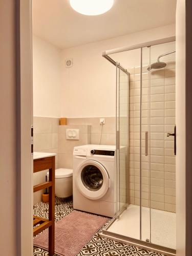 a bathroom with a washing machine and a toilet at House DIKA- sauna & jacuzzi in Otočac