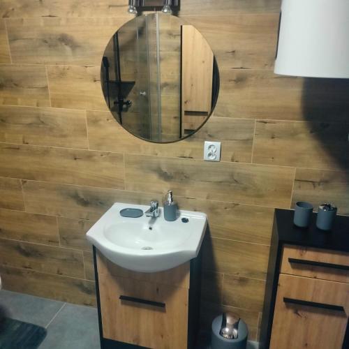 een badkamer met een wastafel en een spiegel bij Domek całoroczny in Buda Ruska