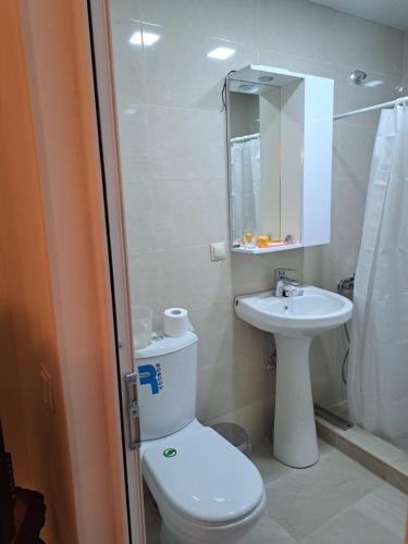La salle de bains est pourvue de toilettes, d'un lavabo et d'un miroir. dans l'établissement Henri house, à Gyumri