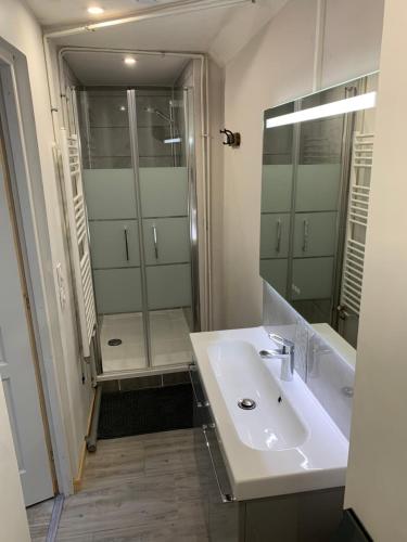La salle de bains est pourvue d'un lavabo et d'une douche. dans l'établissement L'appart d'Antoine, à Saint-Quentin