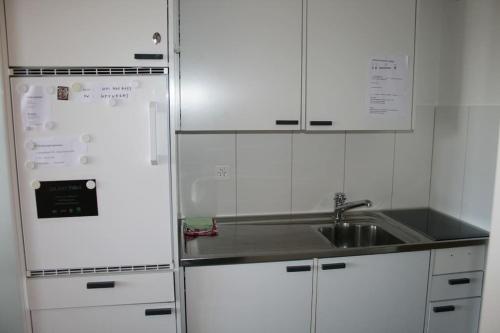 eine weiße Küche mit einer Spüle und einem Kühlschrank in der Unterkunft MicroAppartment with bath and cozy balcony in Davos