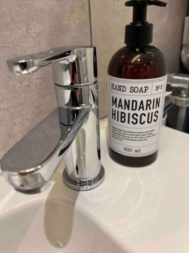 una botella de desinfectante de manos en el lavabo del baño en Gimle Casa en Tromsø