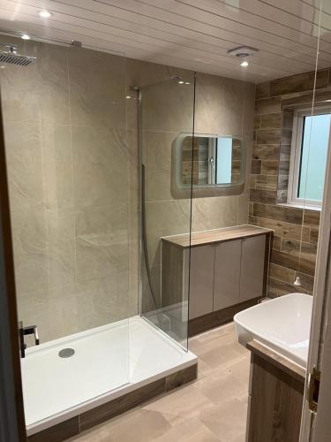 een badkamer met een douche en een wastafel bij Castle De Annis in Bradshaw