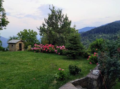a garden with pink flowers on a green field at Παραδοσιακή πέτρινη κατοικία στην Βλάχα Ελάτης in Vlácha