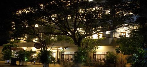 a building with a tree in front of it at night at Bay Vista in Arugam Bay