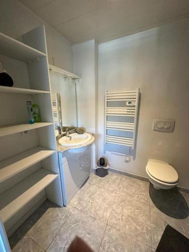 une salle de bain avec toilettes et lavabo dans l'établissement Duplex F2 - proche GARE TGV, à Mulhouse