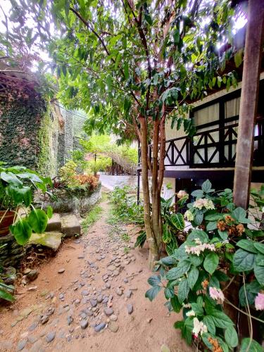 a garden with a tree and some plants at Kankui Lodge in El Zaino