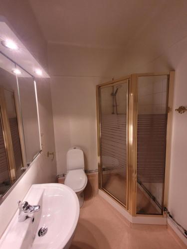 La salle de bains est pourvue de toilettes, d'une douche et d'un lavabo. dans l'établissement Home Inn FKG110, à Stockholm