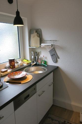 a kitchen with a sink and a counter top at Haus Julius, Ferienwohnung bis zu 8 Gästen in Willingen