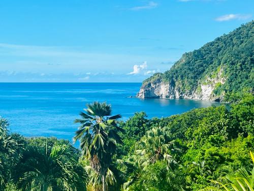 a view of the ocean from a tropical island at Vue Mer/3Beds/Piscine/wifi/900 mètres de la plage in Deshaies