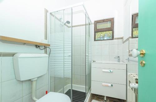 a bathroom with a toilet and a glass shower at Quinta de São Pedro in Sobreda