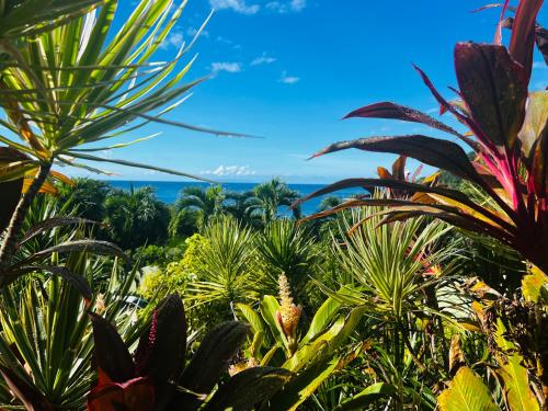 a view of the ocean from a garden with plants at Vue Mer/3Beds/Piscine/wifi/900 mètres de la plage in Deshaies