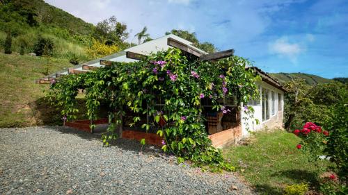 una casa con flores creciendo a su lado en HOME SUITE, en Tuluá