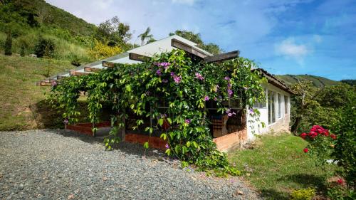 Building kung saan naroon ang holiday home