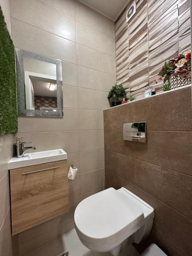 Łazienka z białą toaletą i umywalką w obiekcie NEW APARTMAN w Debreczynie