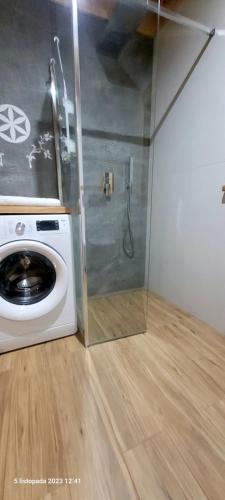 a washer and dryer in a bathroom with a shower at NOWA CHATA in Bustryk